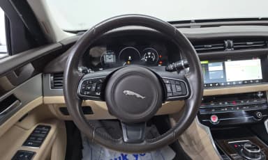 XF (x260)