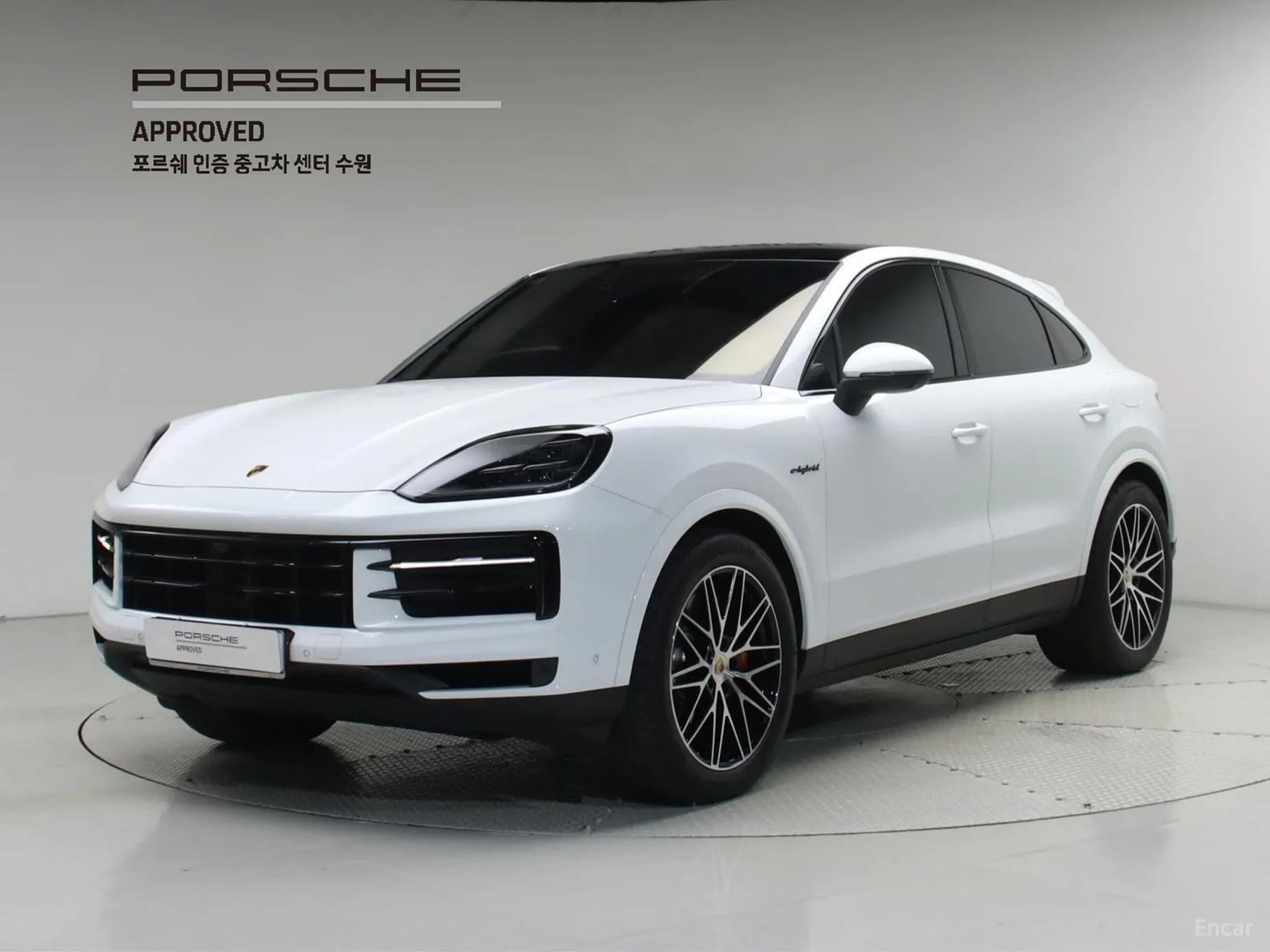 Cayenne (PO536)