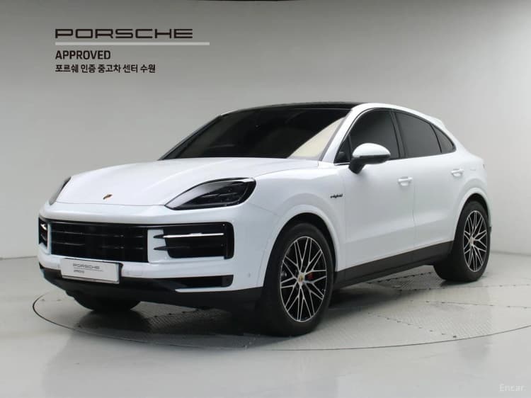 Cayenne (PO536)