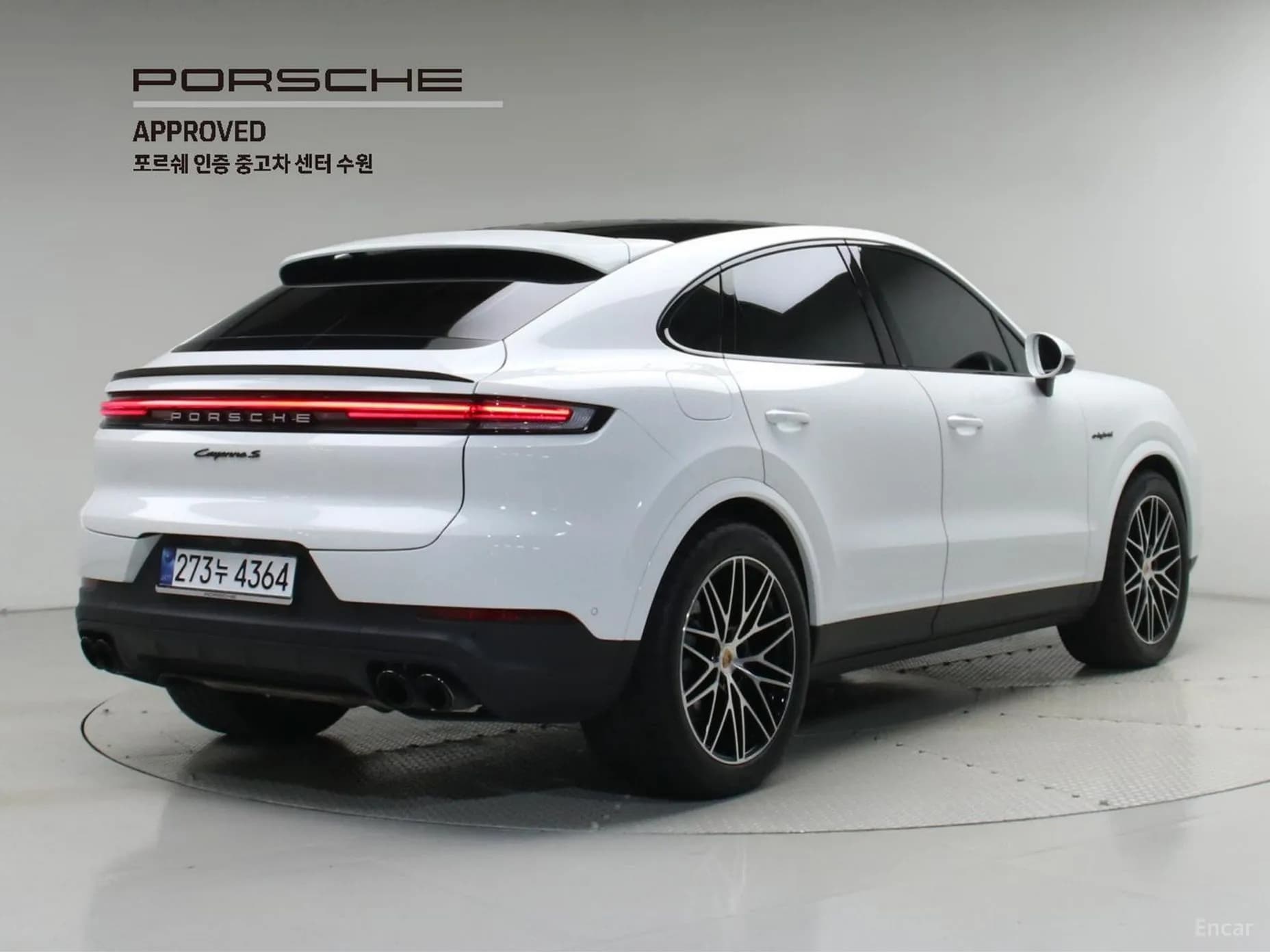 Cayenne (PO536)