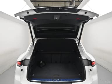 Cayenne (PO536)