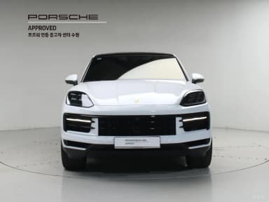 Cayenne (PO536)