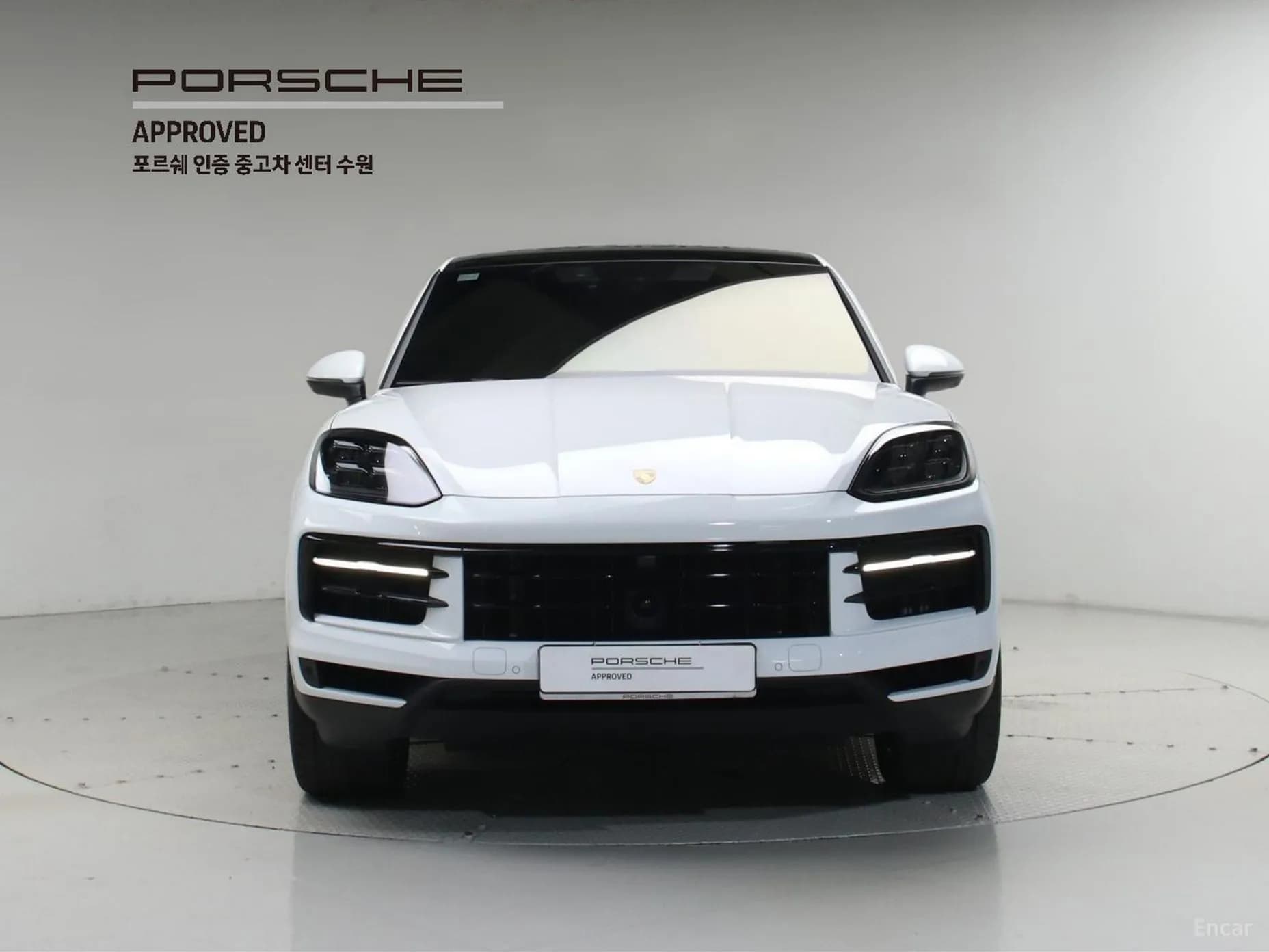 Cayenne (PO536)