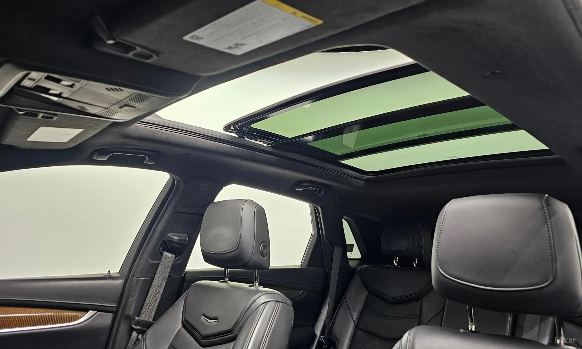 XT5