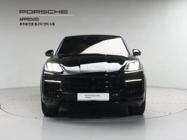 Cayenne (PO536)