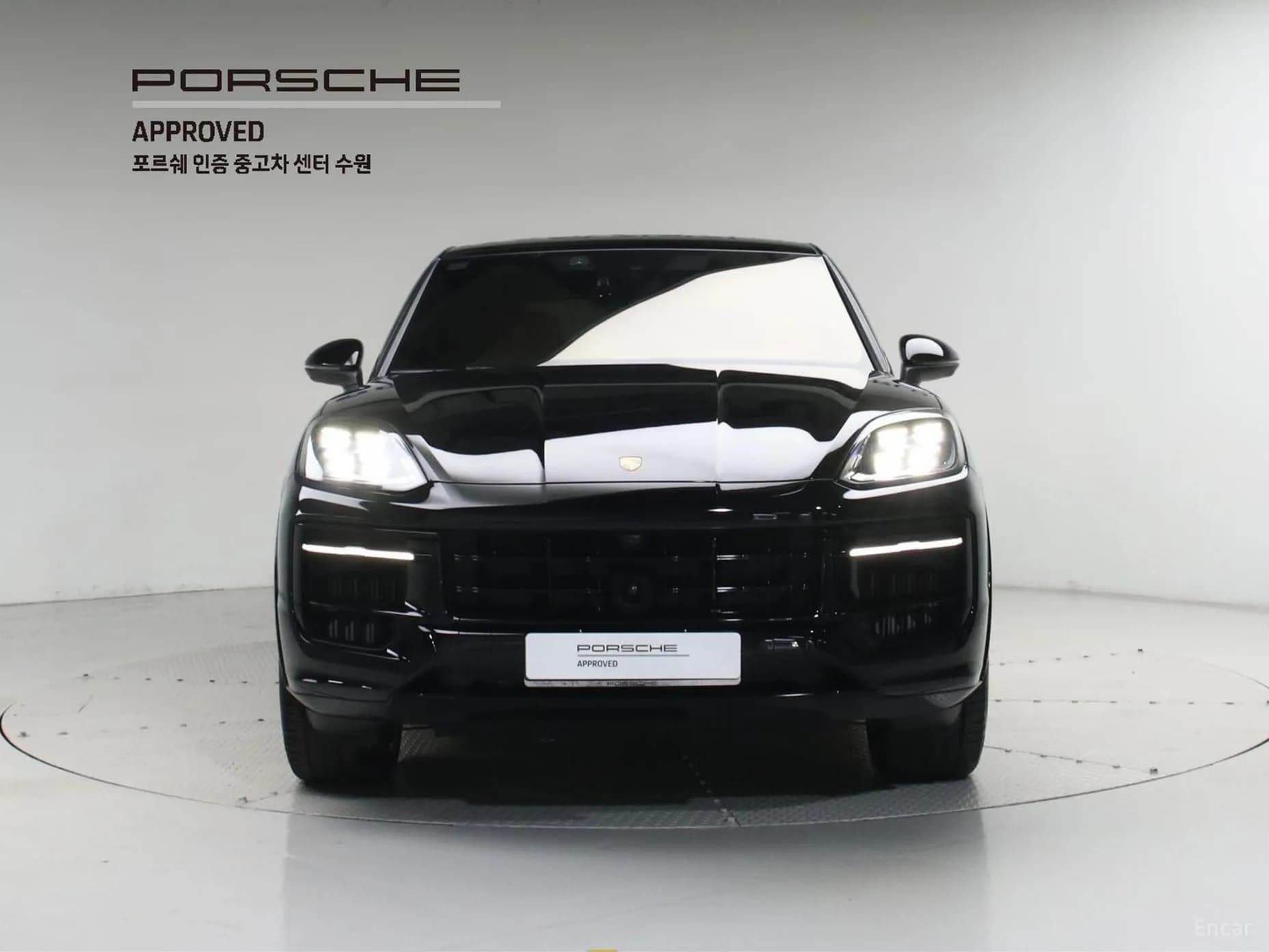 Cayenne (PO536)