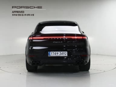 Cayenne (PO536)