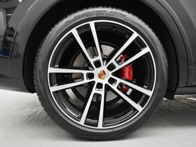 Cayenne (PO536)