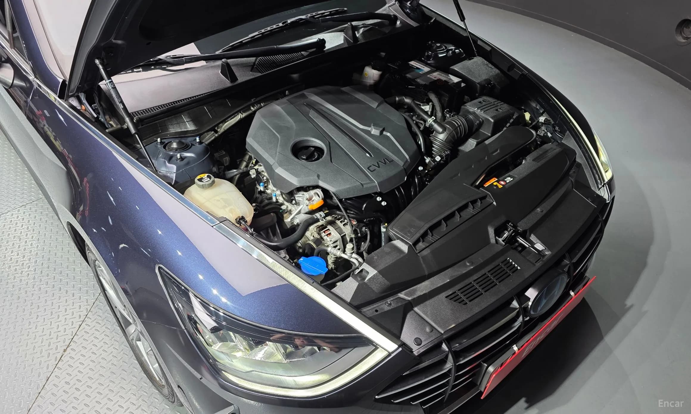Sonata (DN8)
