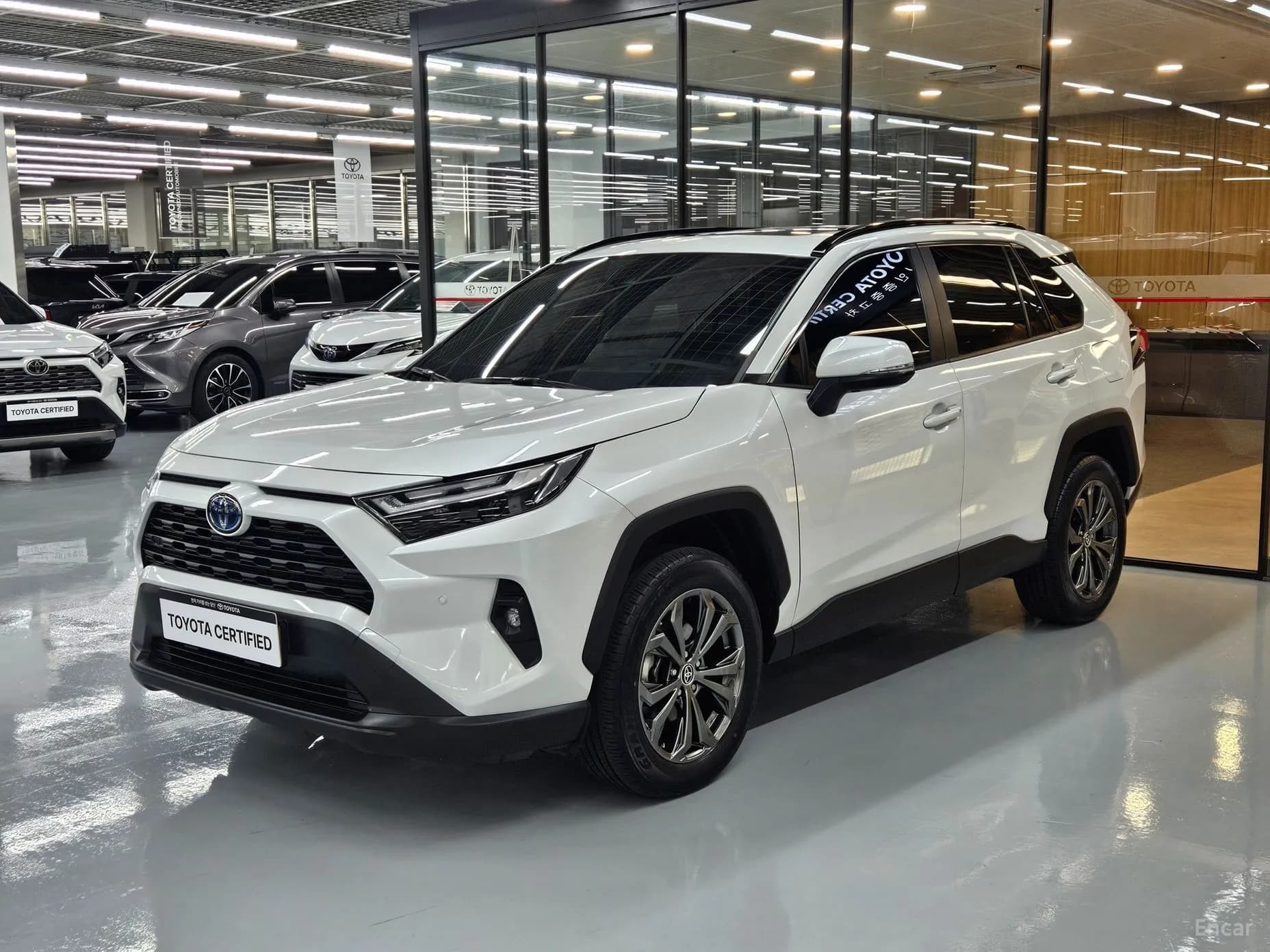 RAV4 5th Generation