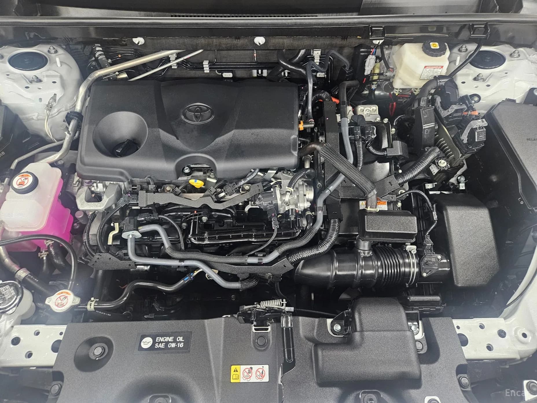 RAV4 5th Generation