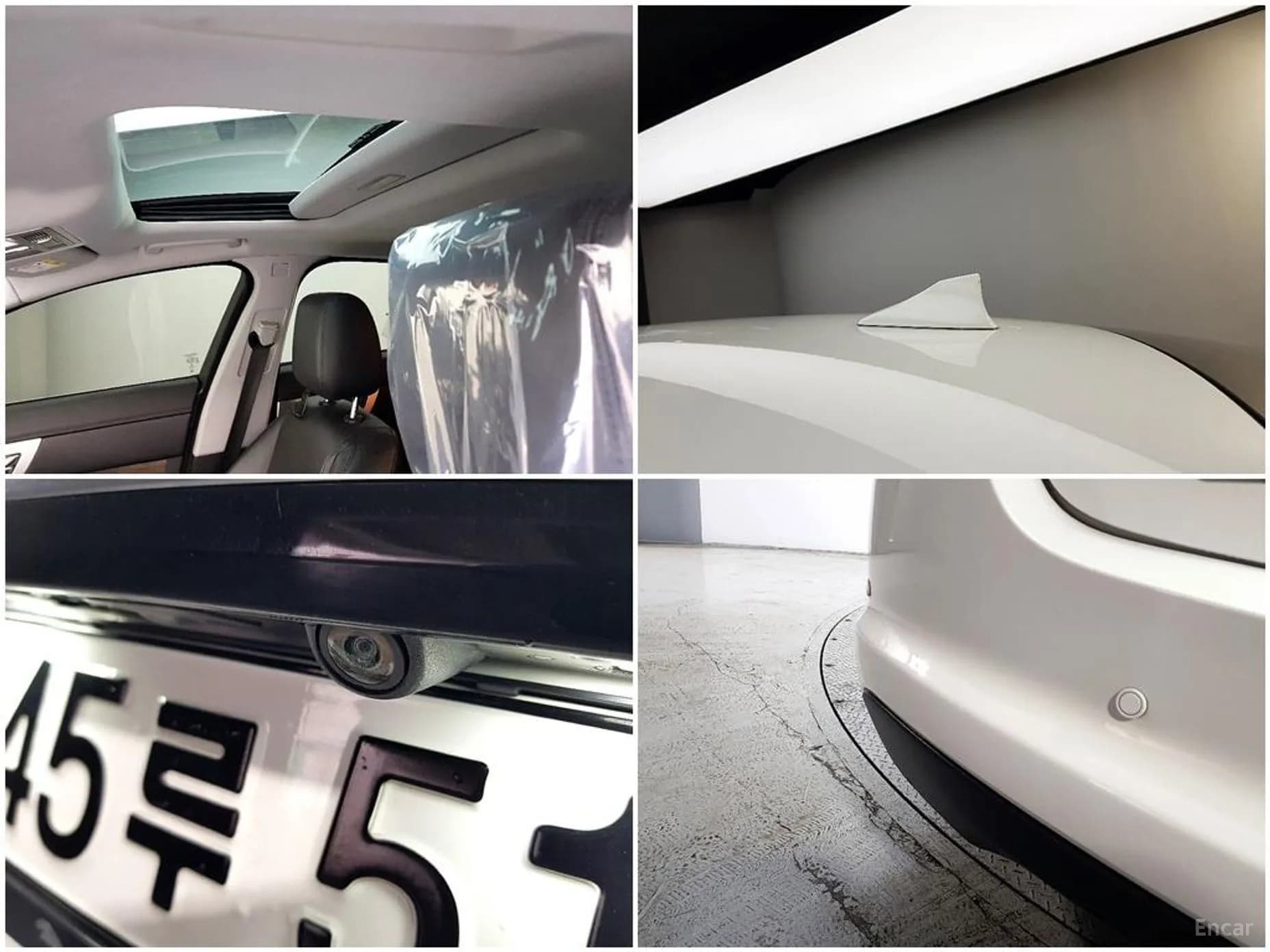 New XF