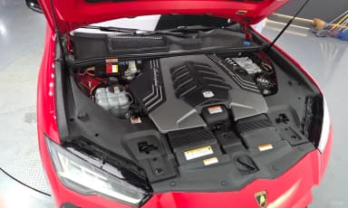 Urus