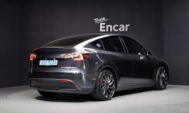 Model Y