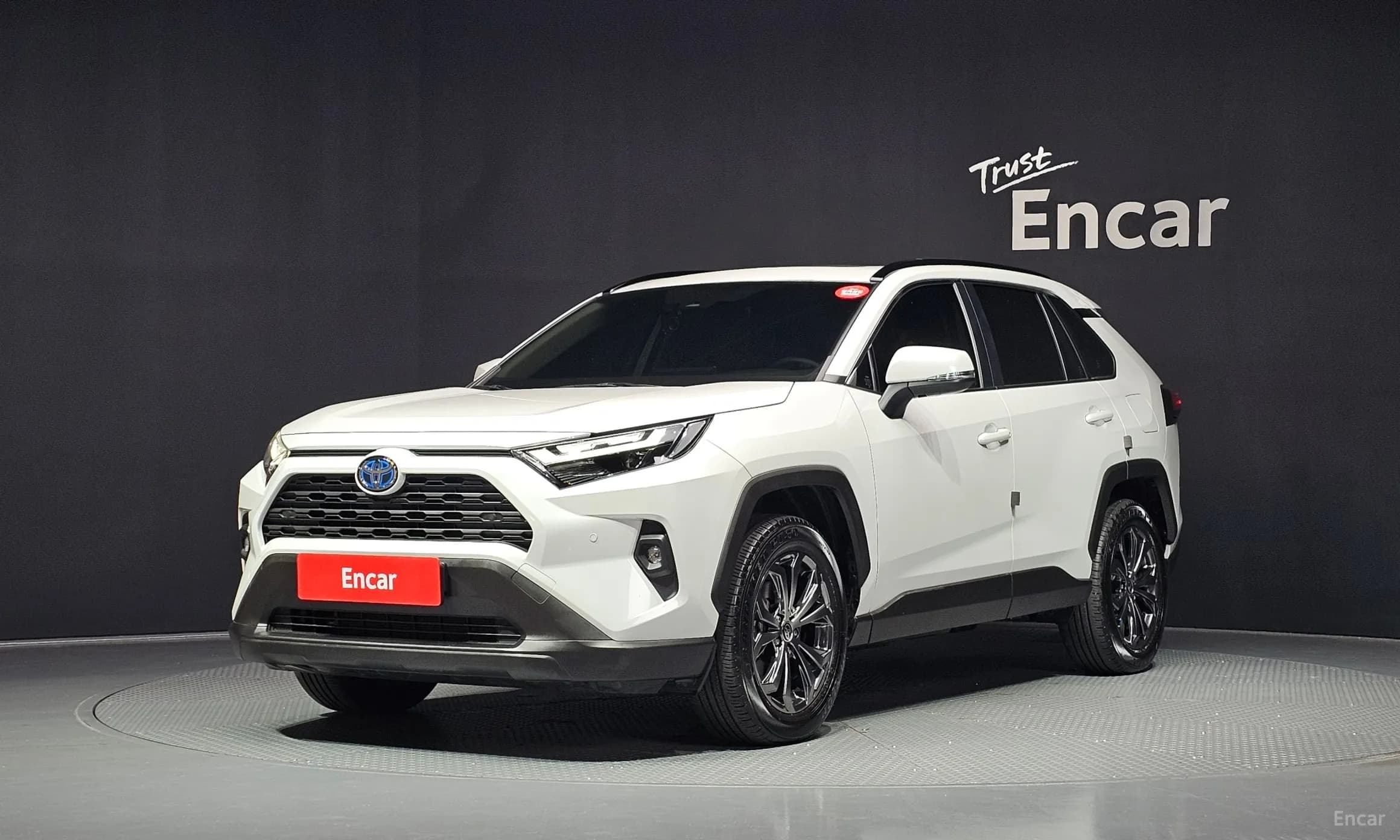 RAV4 5th Generation