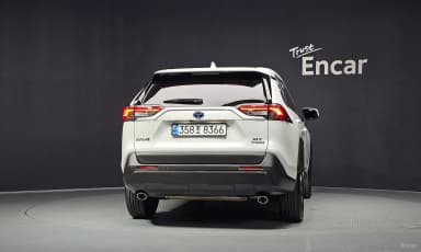 RAV4 5th Generation