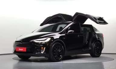 Model X