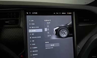 Model X