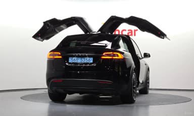 Model X