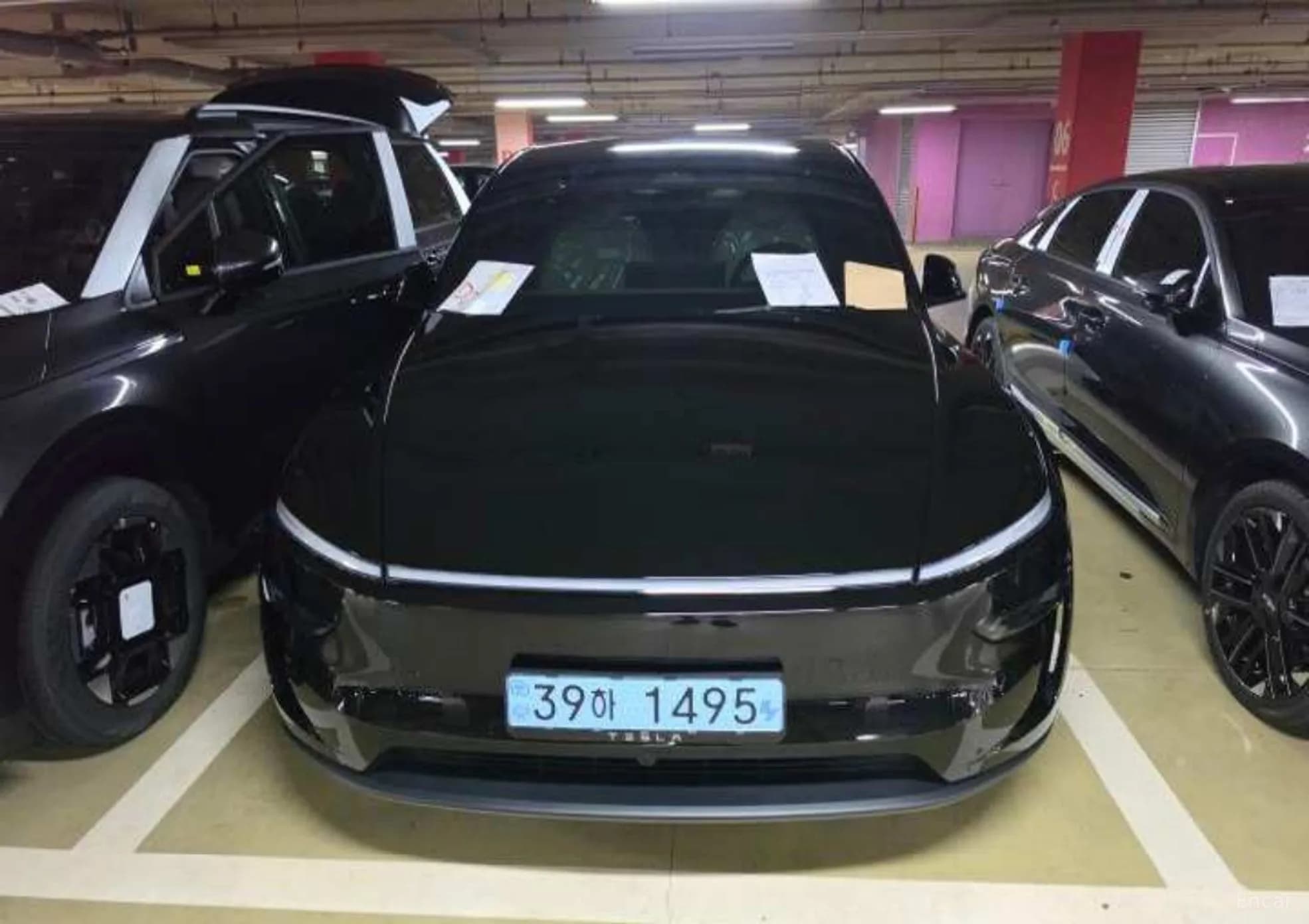 Model Y