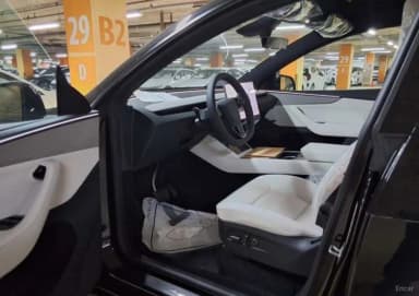 Model Y