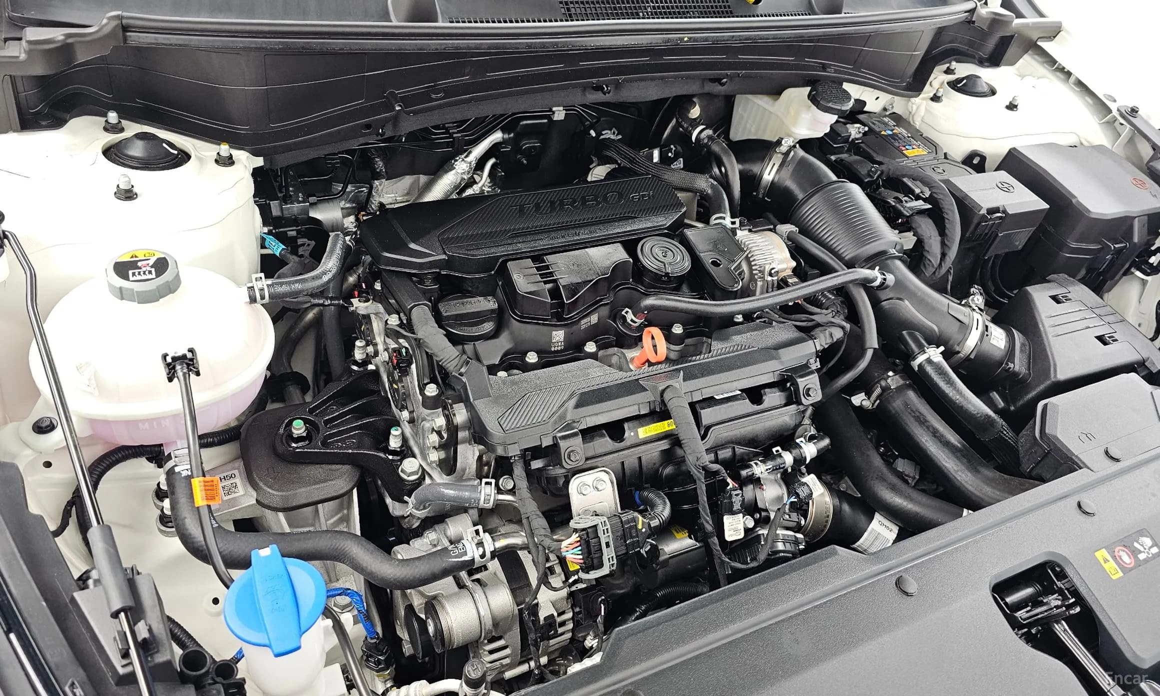 Sportage 5th Generation