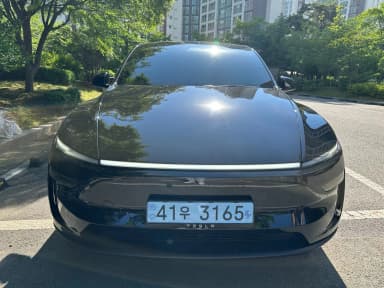 Model Y