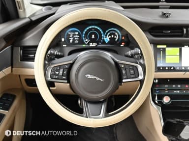 XF (x260)