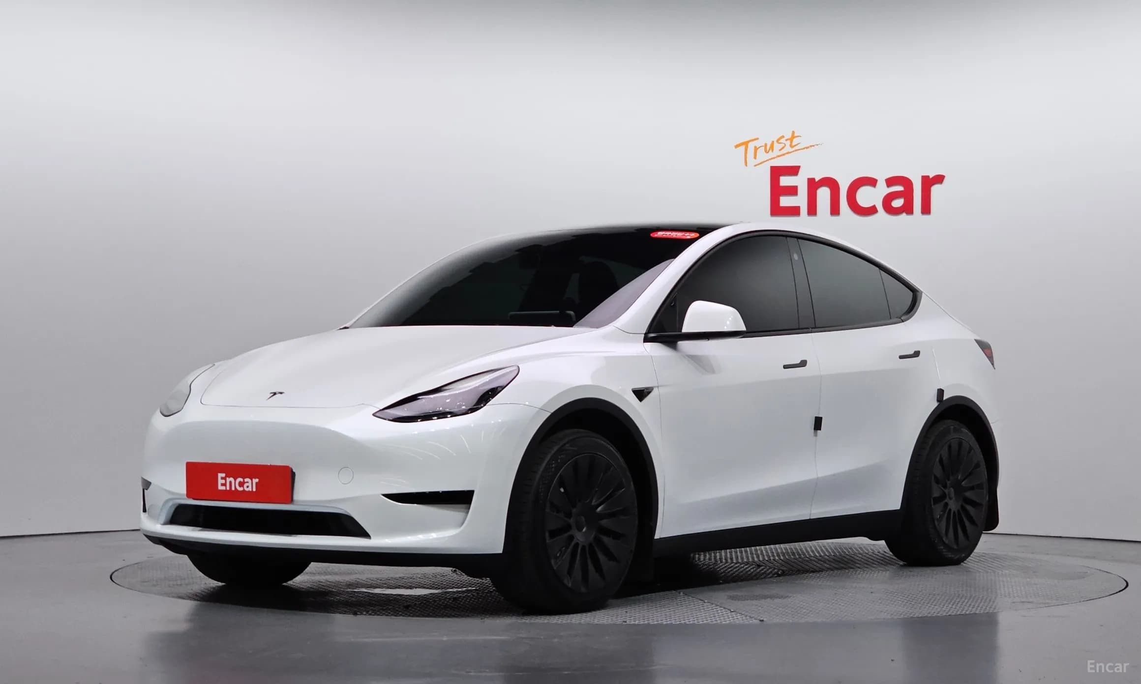 Model Y