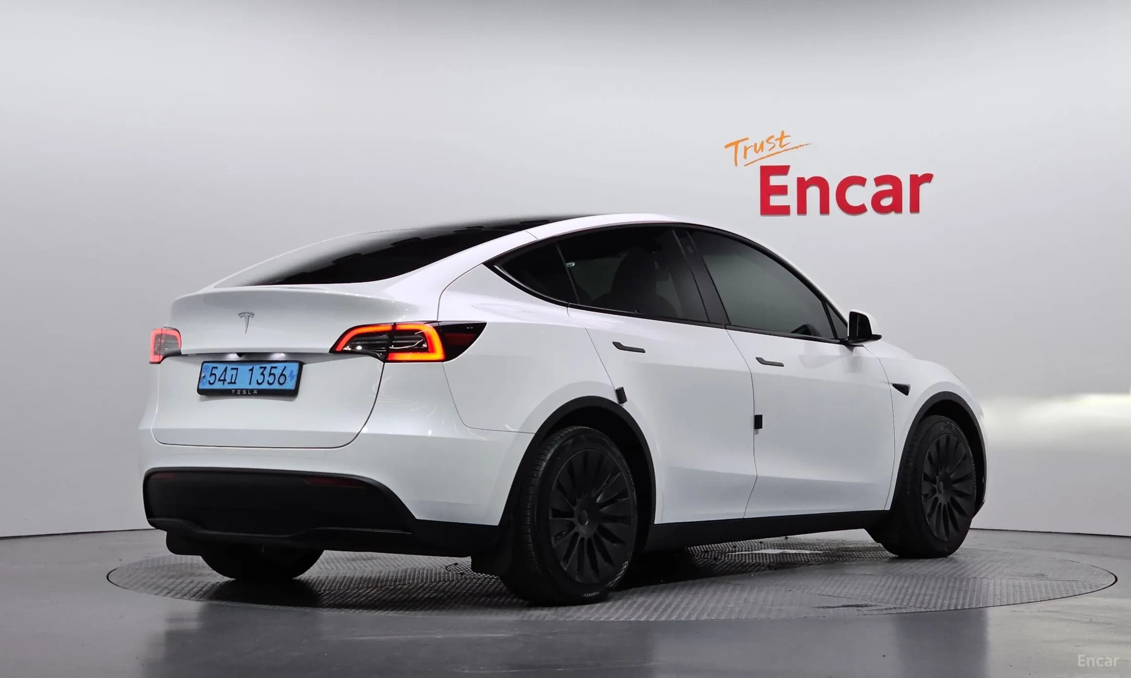 Model Y
