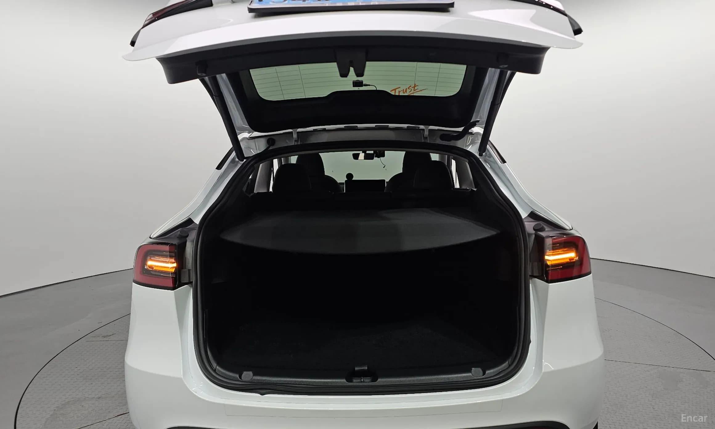 Model Y