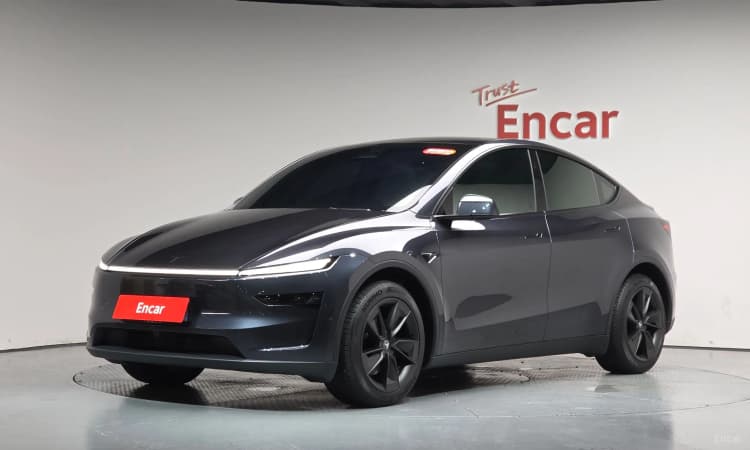Model Y