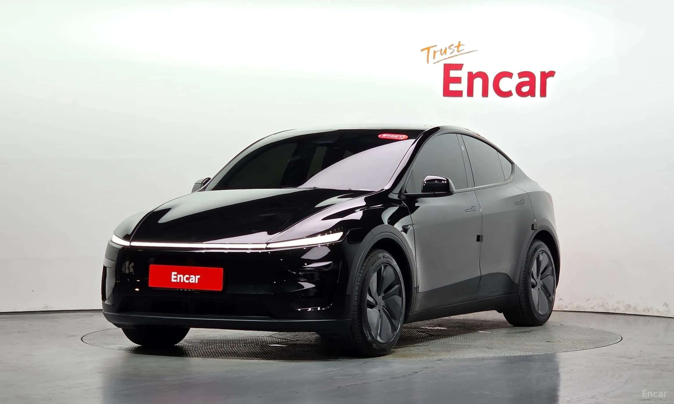 Model Y