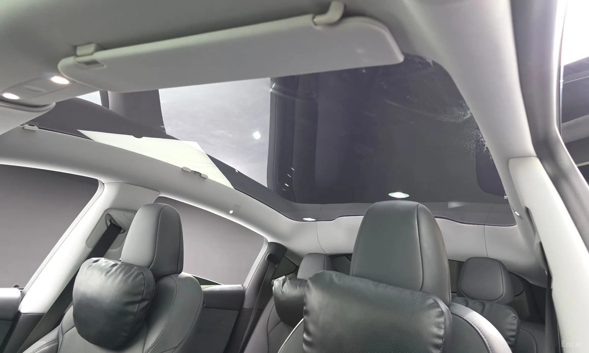 Model Y