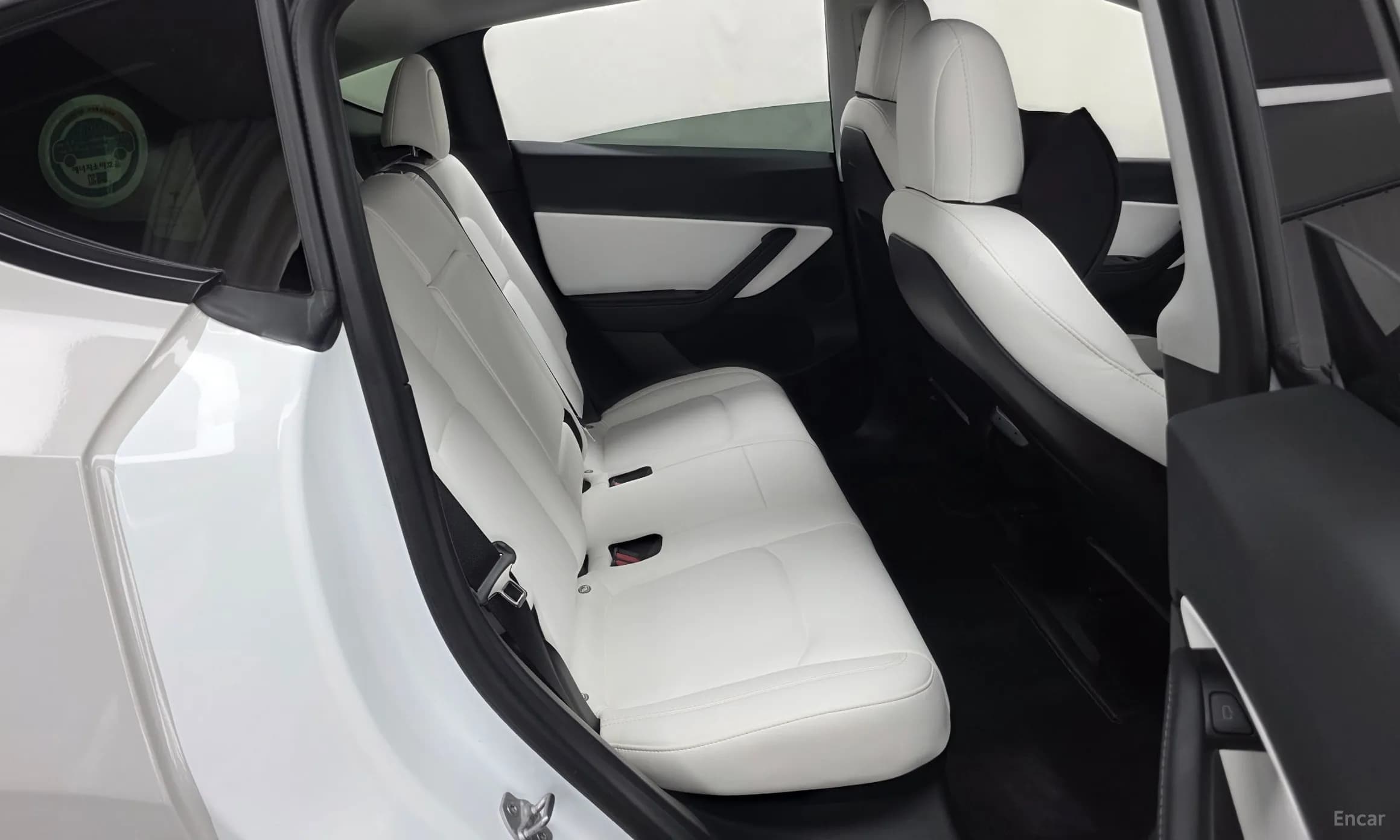 Model Y
