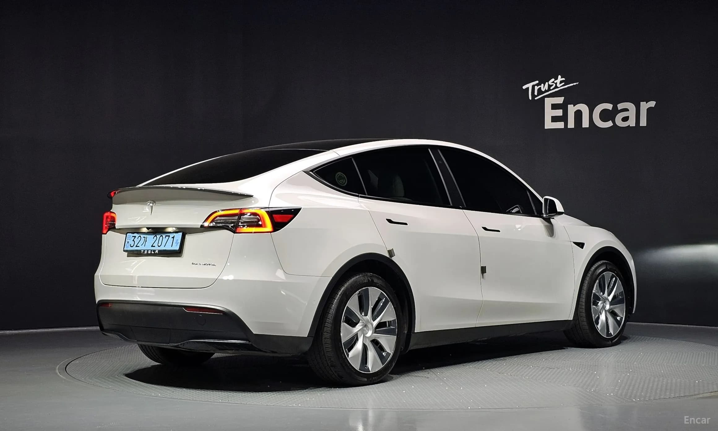 Model Y