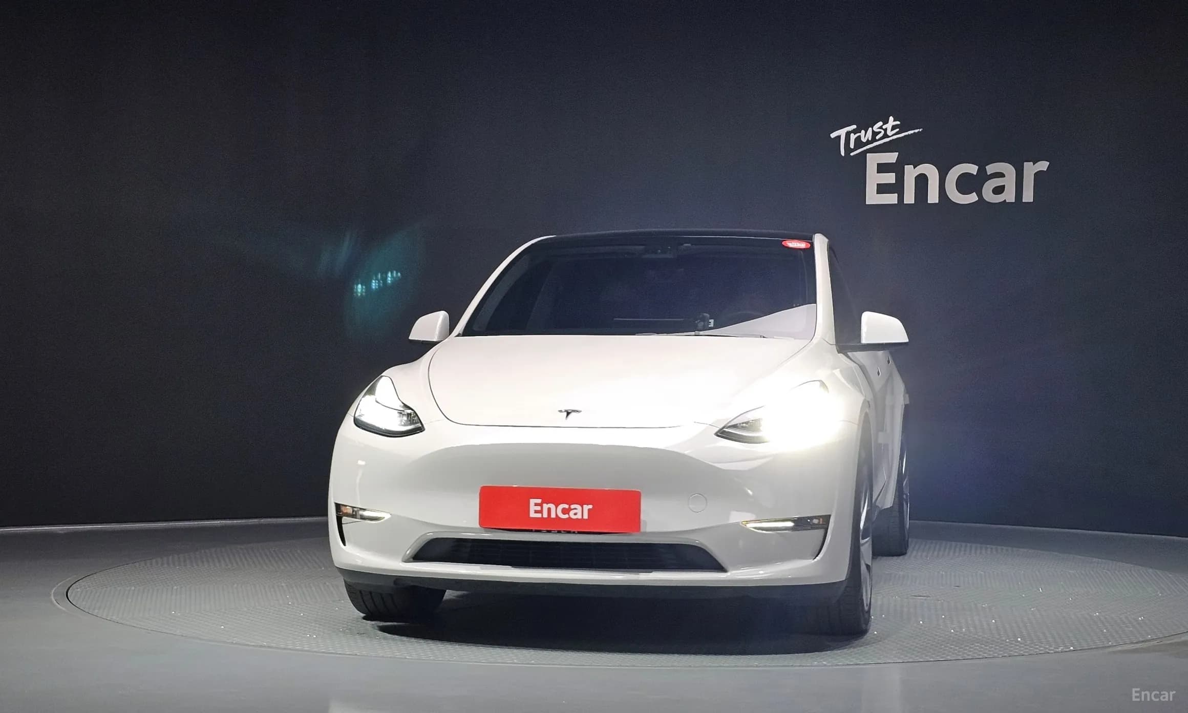 Model Y