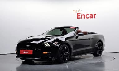 Mustang