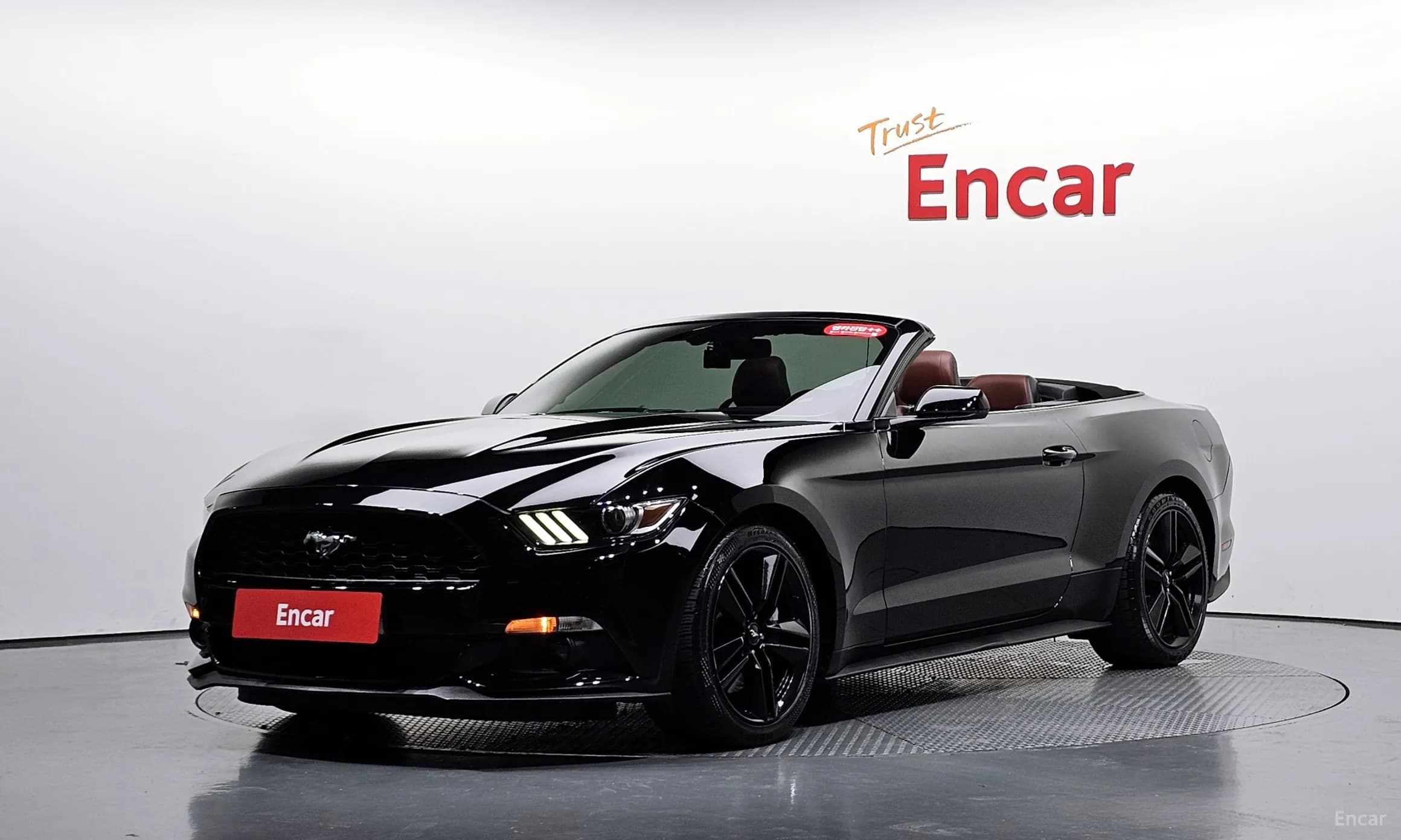 Mustang
