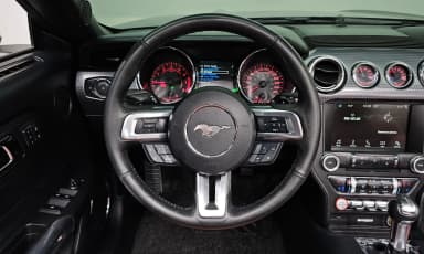 Mustang