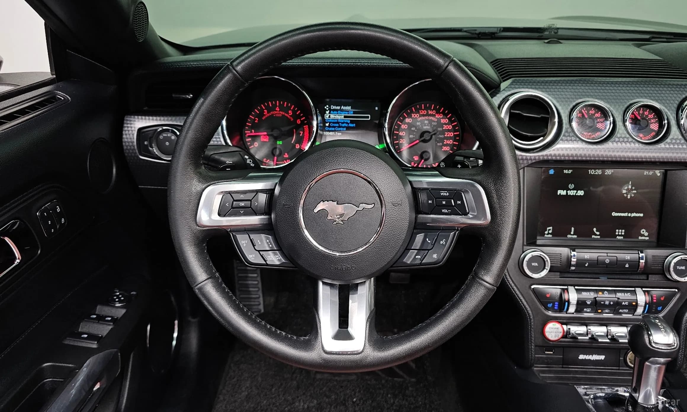 Mustang