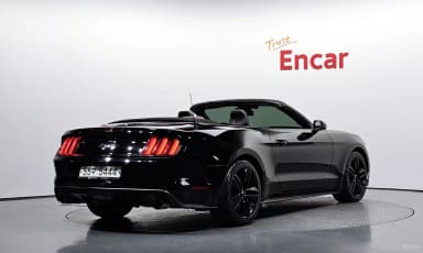 Mustang