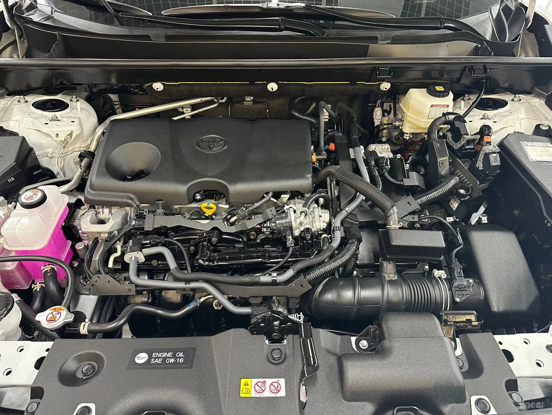 RAV4 5th Generation