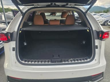 NX300h