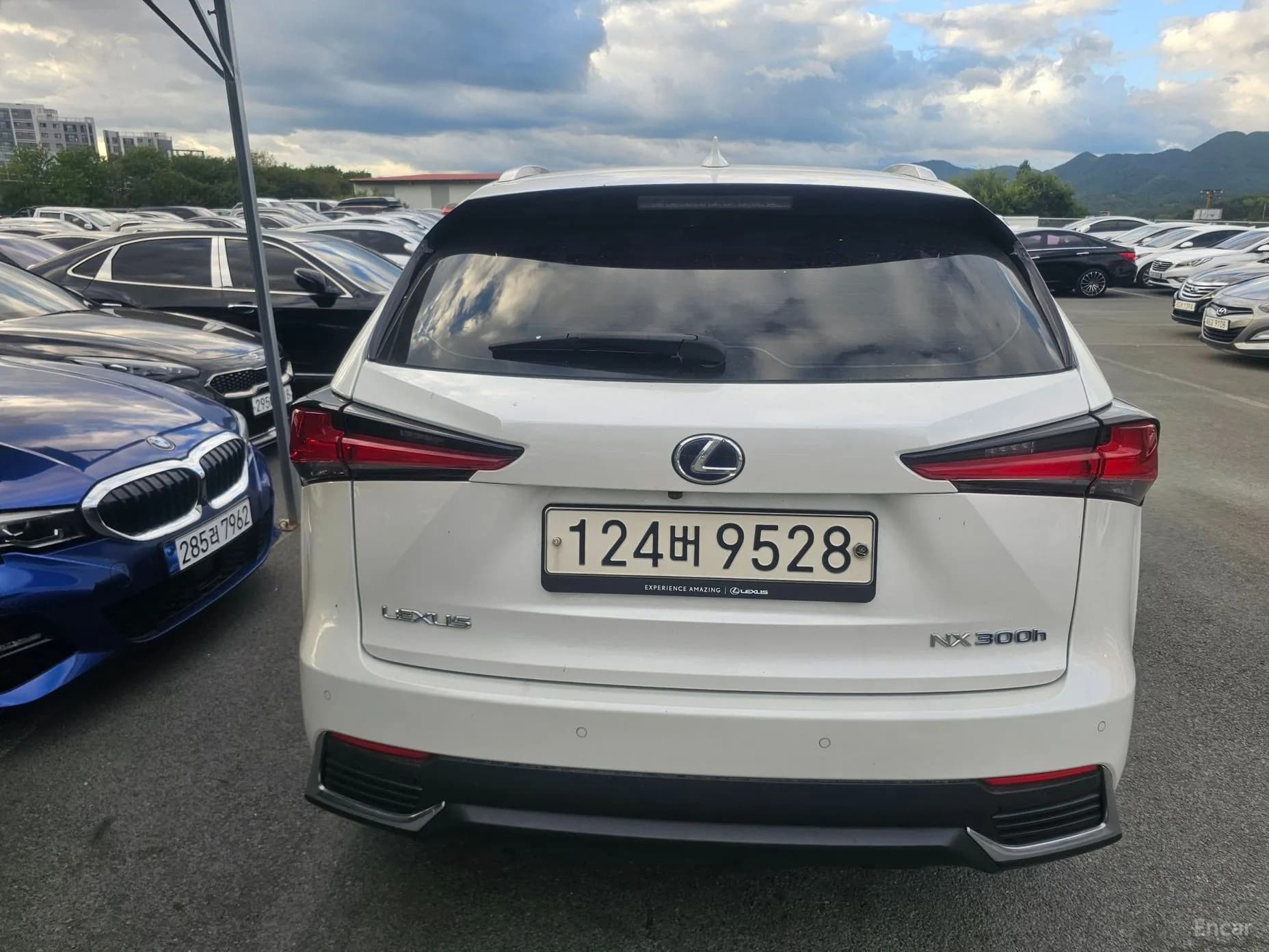 NX300h