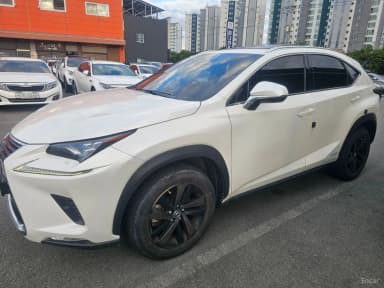 NX300h