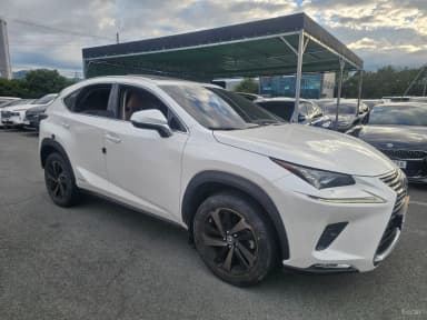 NX300h