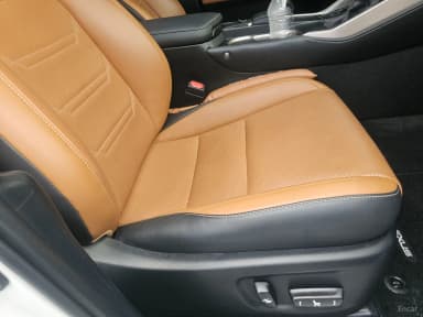 NX300h