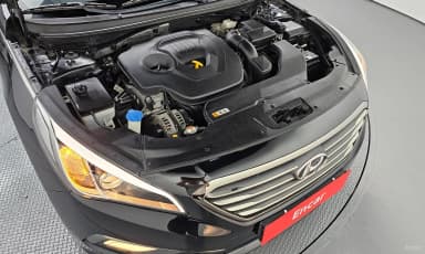 LF Sonata