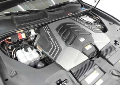 Urus